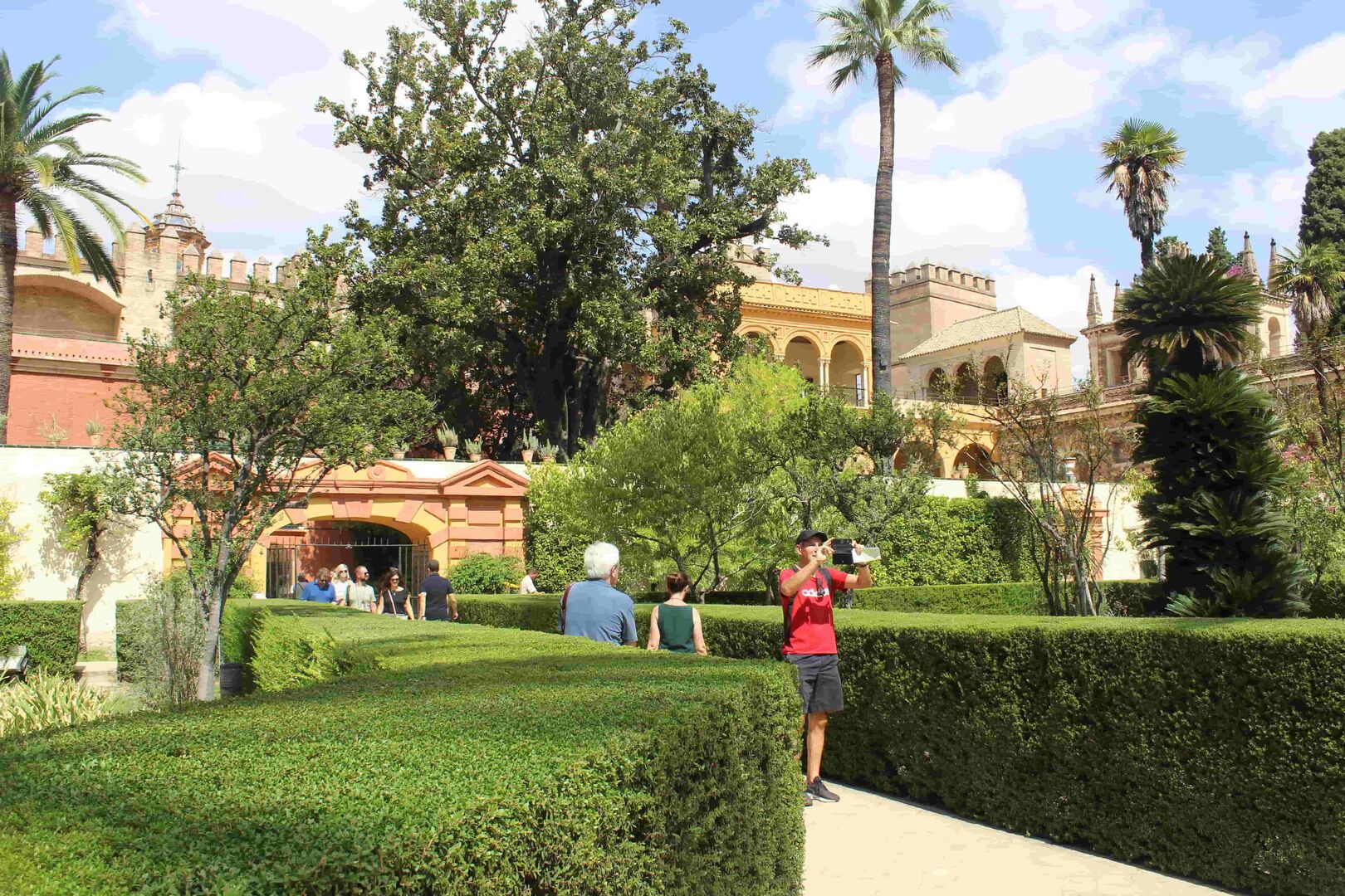 Im der Sonne leuchten Hecken und hohe Palmen. Ein Tourist mit rotem T-Shirt fotografiert den Alcázar von Sevilla. Im Hintergrund zu sehen: Die im maurischen Stil entworfenen Mauer des Königspalastes.