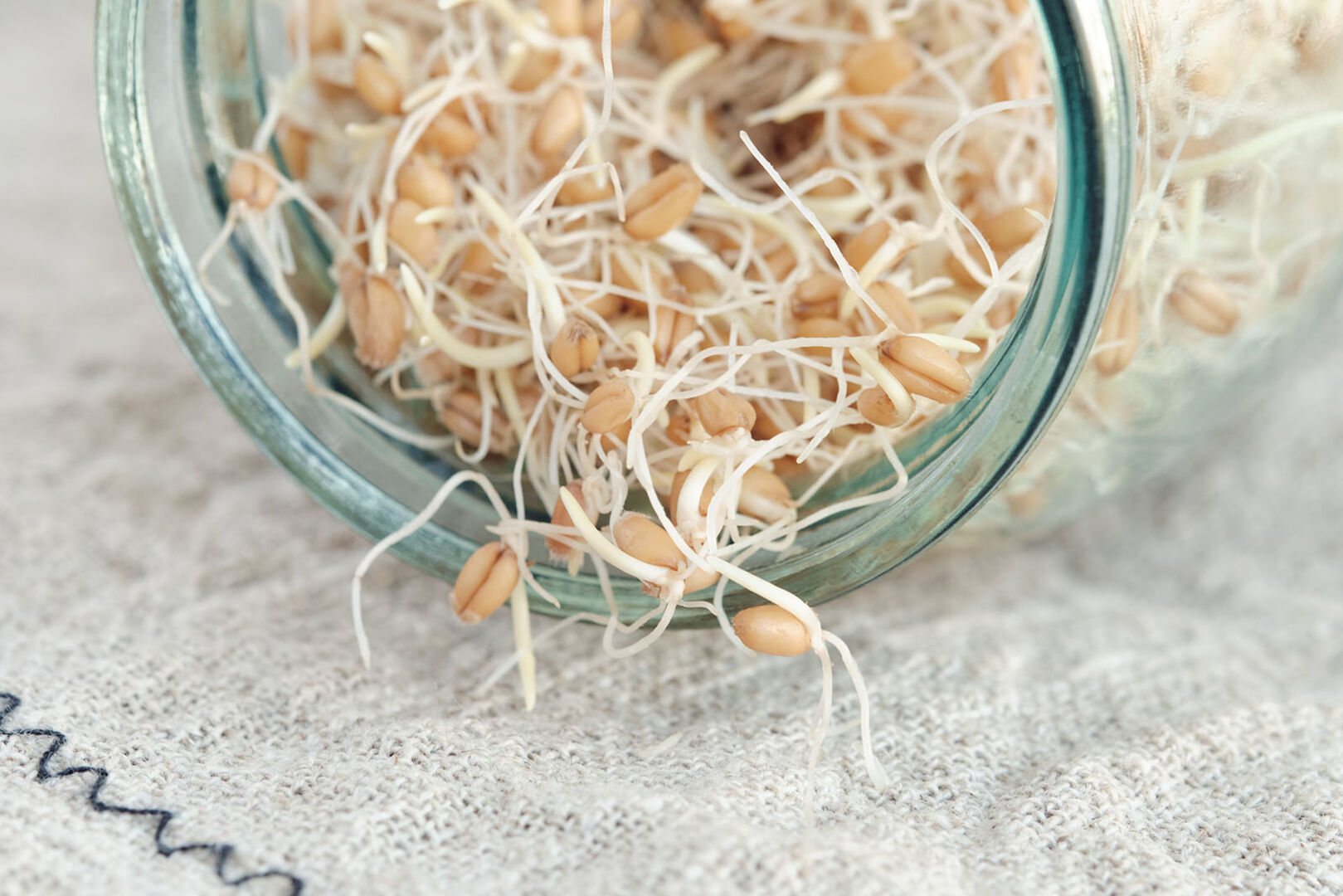 Sprossen im Glas | Credit: iStock.com/TanyaJoy