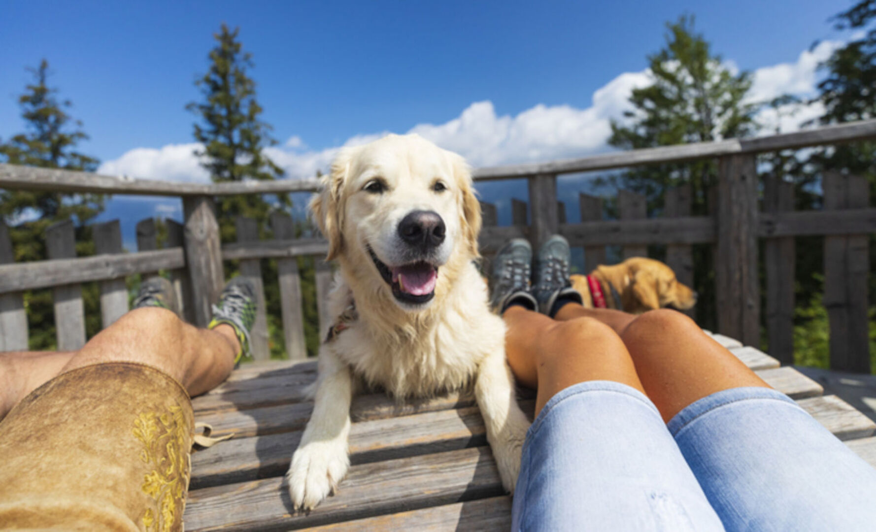 Hund sitzt zwischen Mann und Frau auf einer Bank in den Bergen