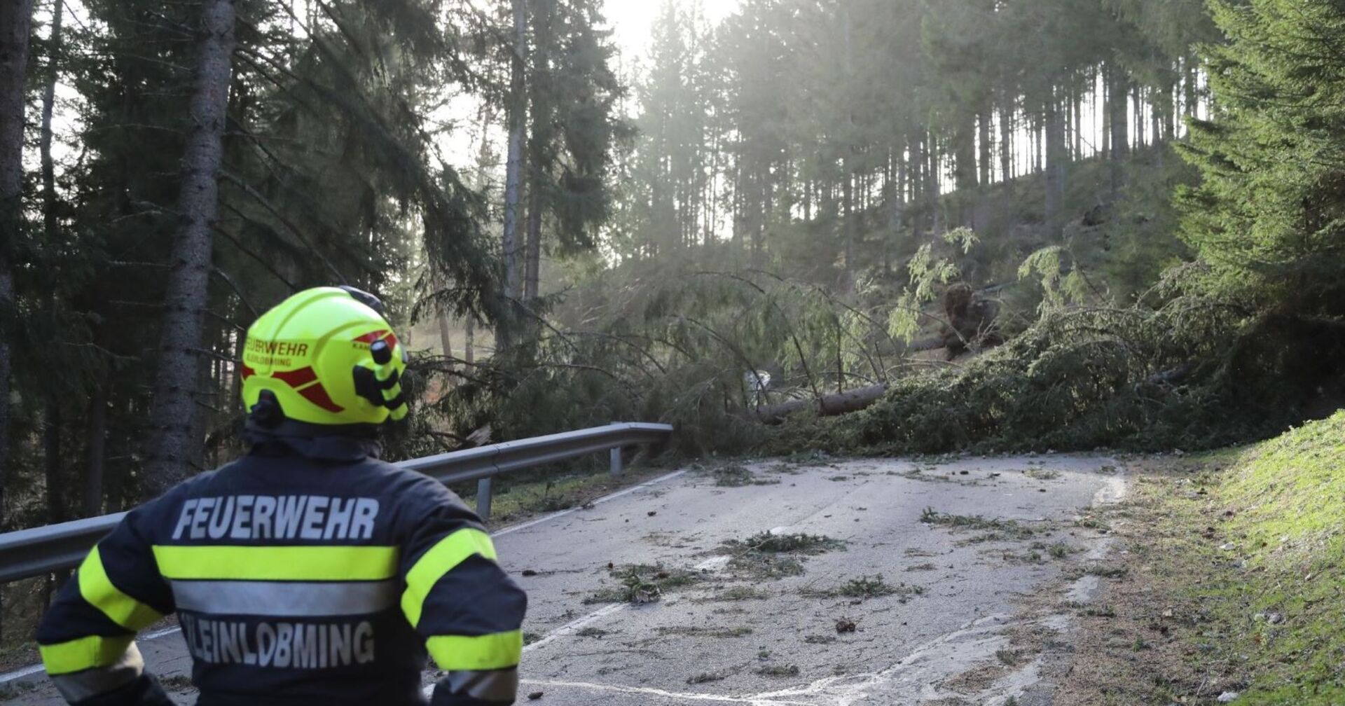 Ein umgestürzter Baum blockiert die Fahrbahn, davor ein Feuerwehrmann der den Schaden begutachtet