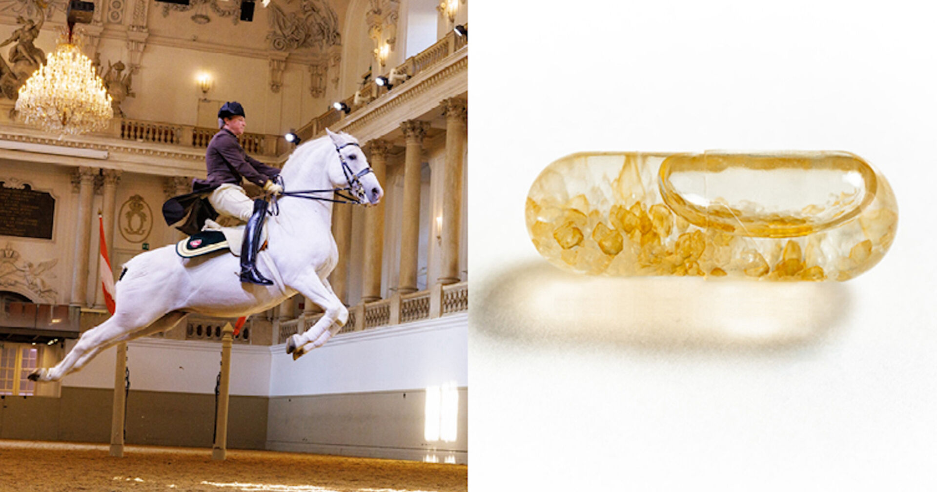 Lipizzaner-Schweiß aus der Hofreitschule in einer Tablette