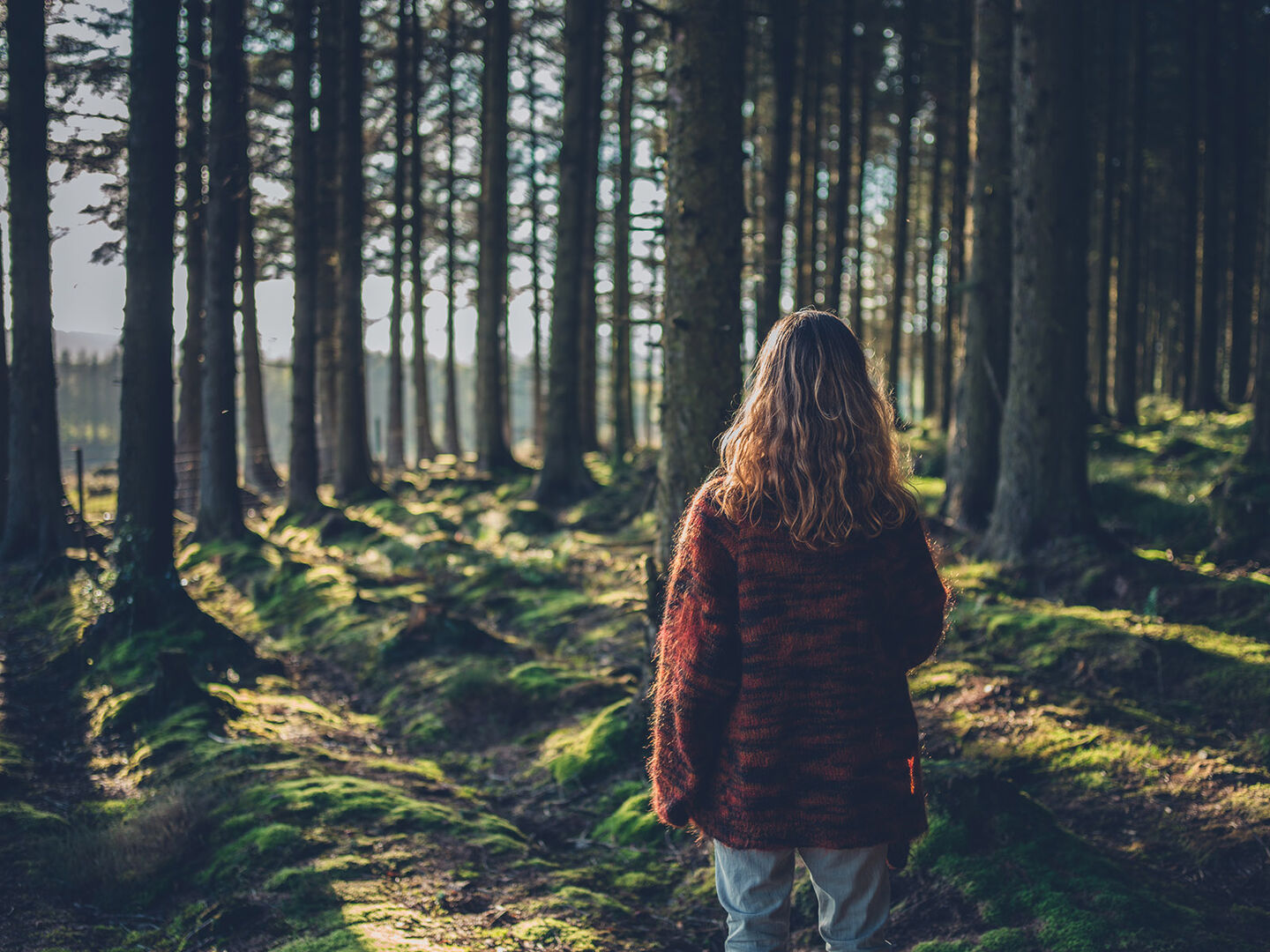 Frau spaziert durch einen Wald | Credit: iStock.com/lolostock