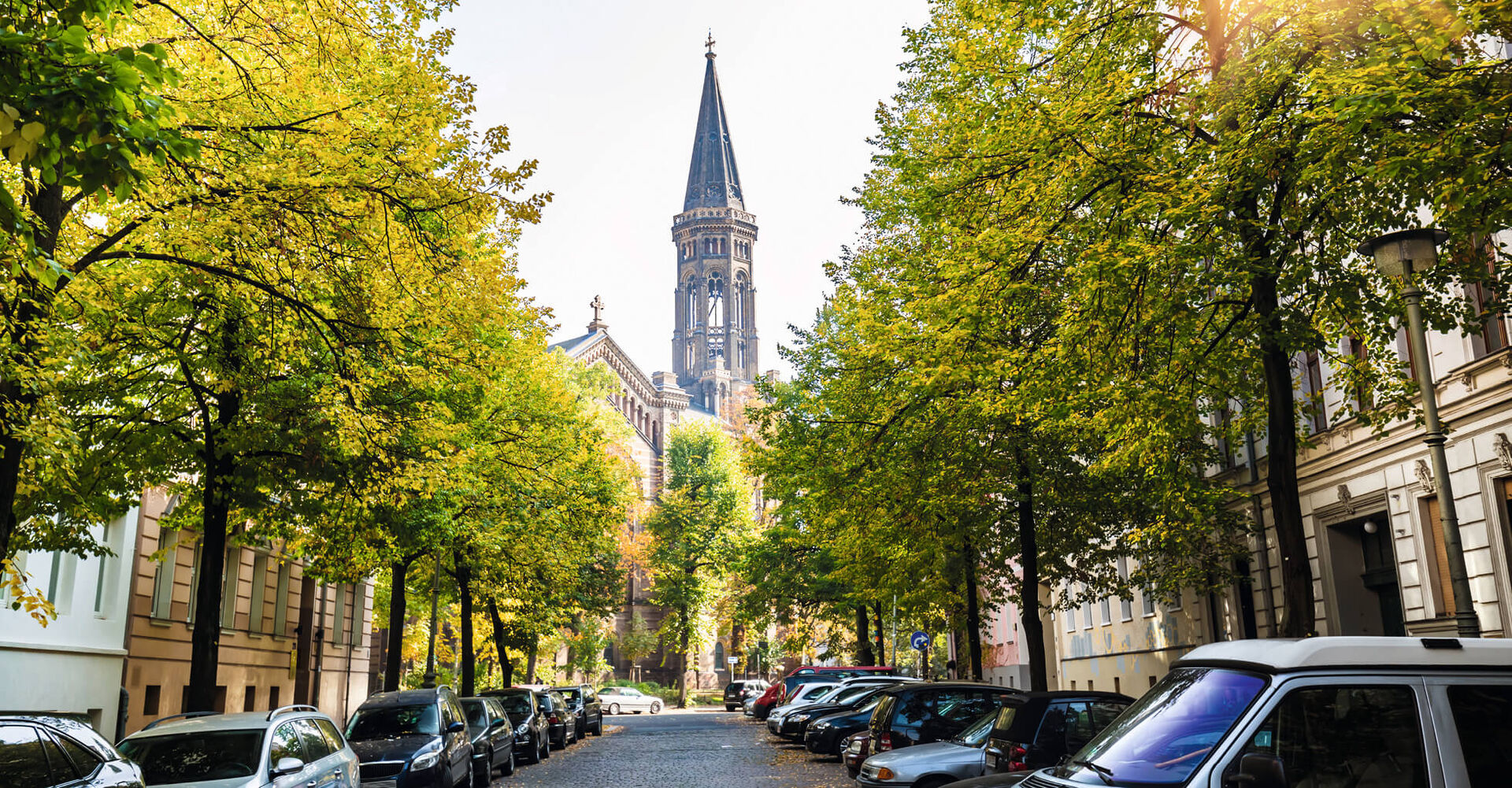 Stellenwert der Bäume