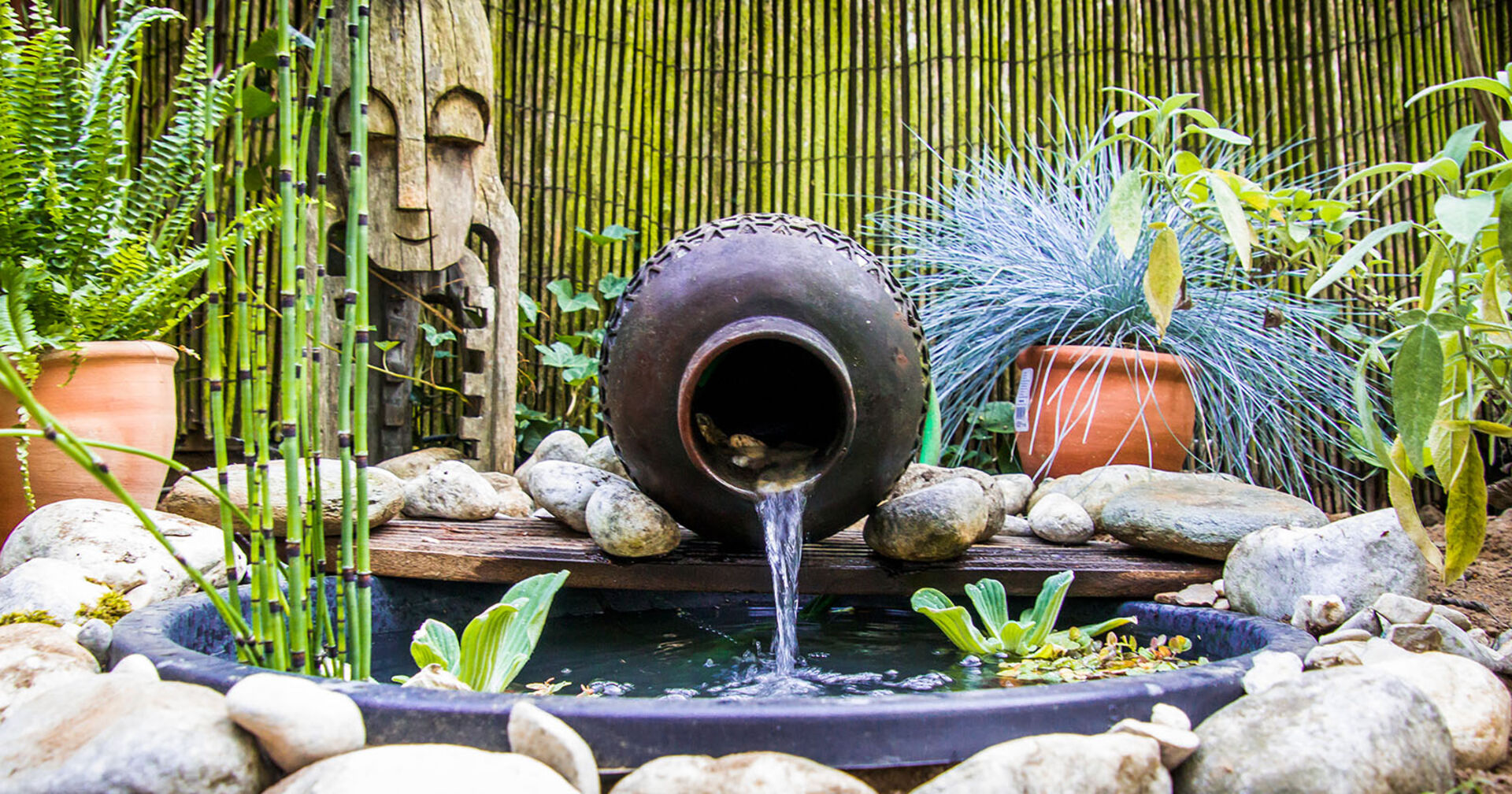 Mini-Teich am Balkon | Credit: iStock.com/Frank Ketelaar