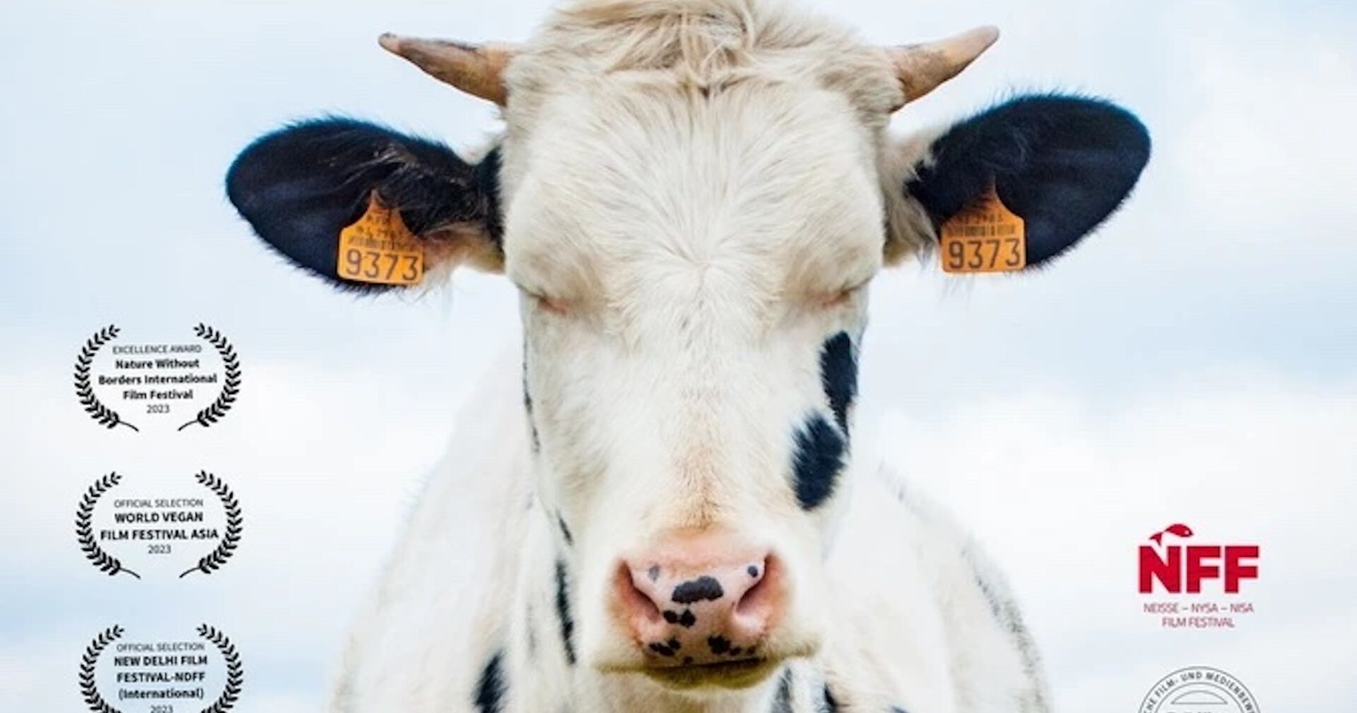 Eine Kuh auf dem Filmplakat &quot;Die Q ist ein Tier&quot;