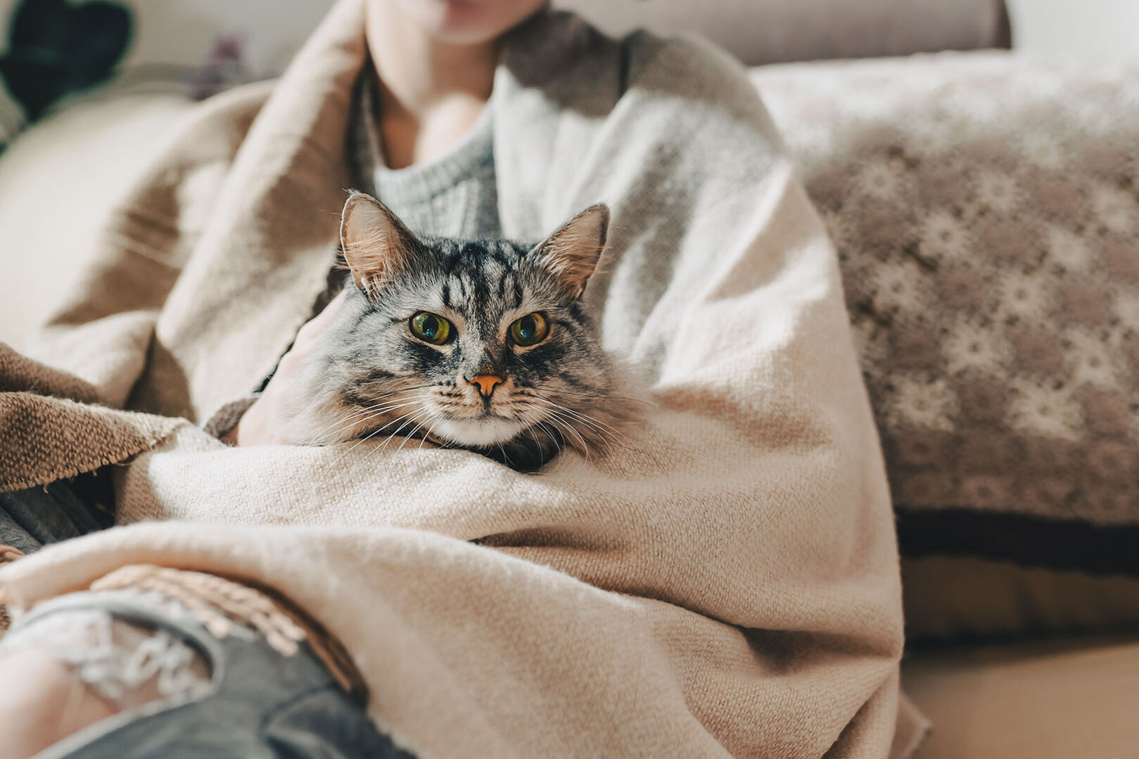 Katze kuschelt mit Frau | Credit: iStock.com/Larisa Stefanuyk