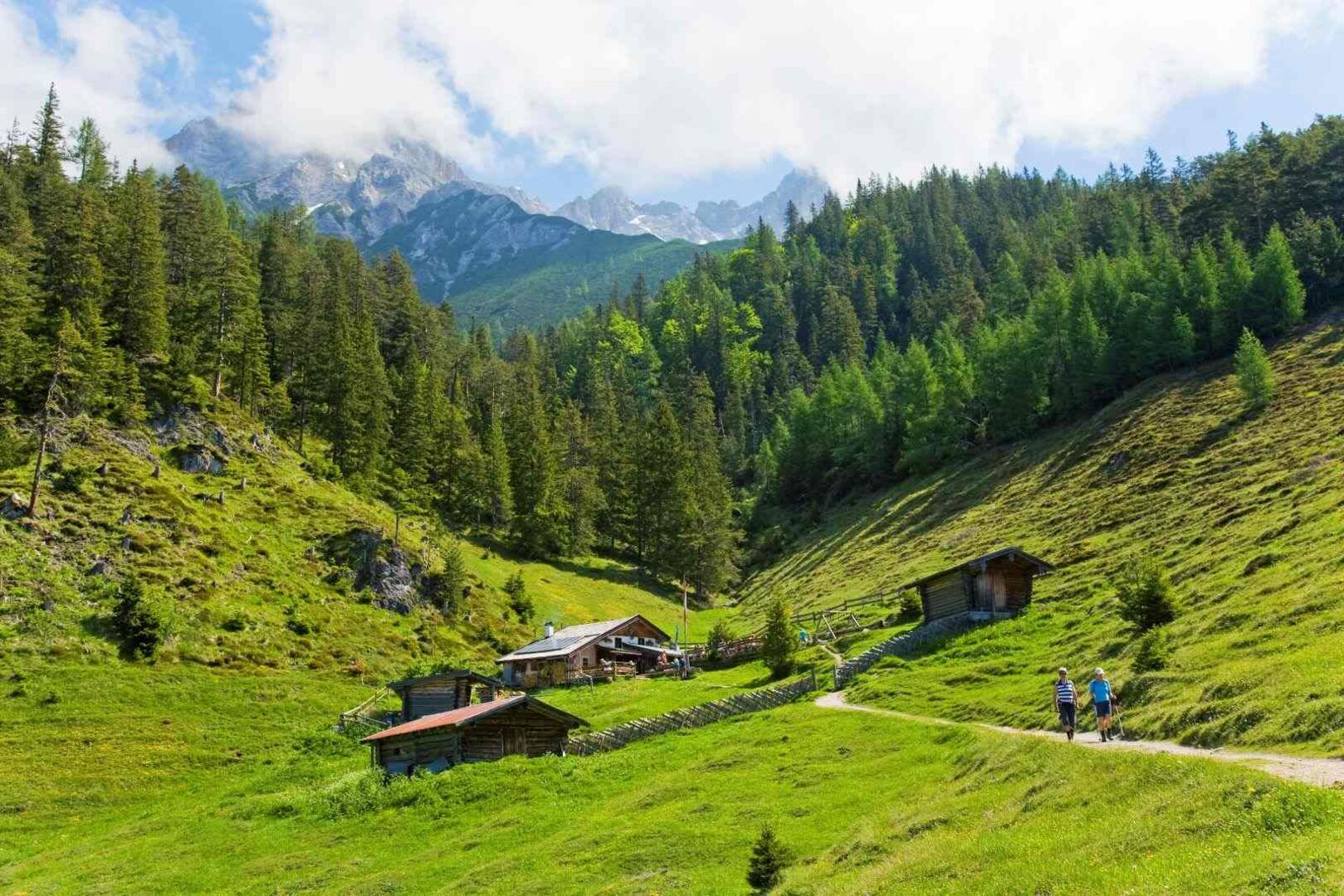 Die Steinalm in Saalfelden.