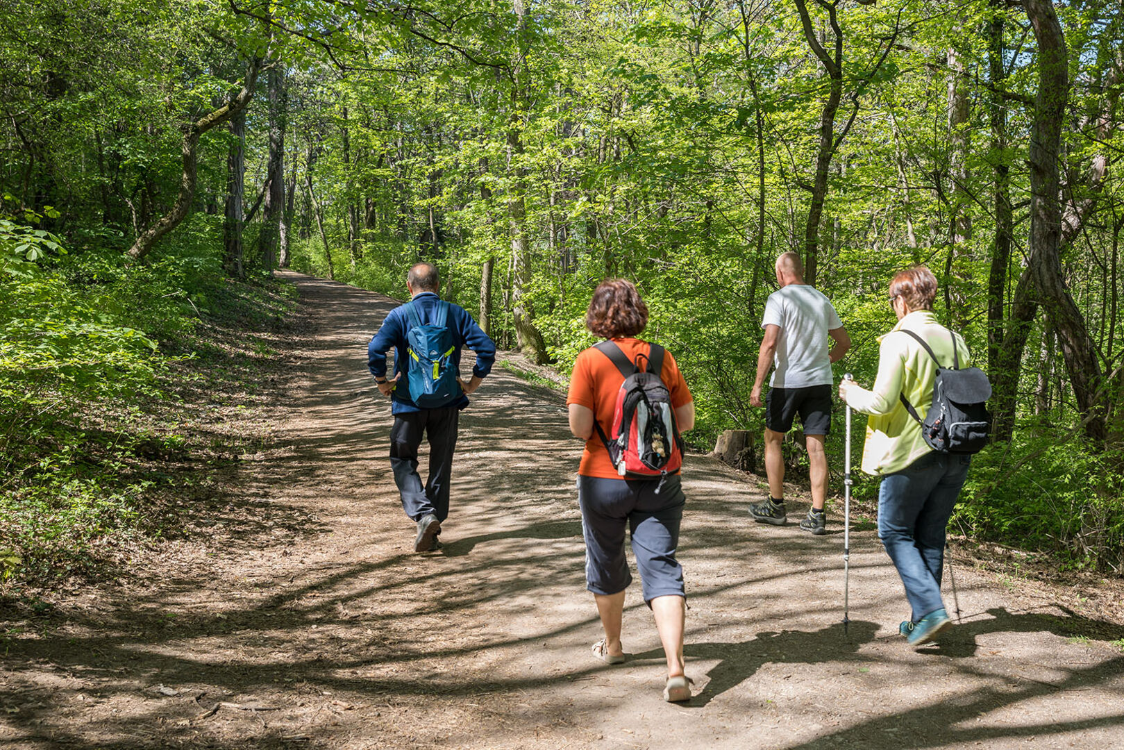 Eine Gruppe wandert durch den Wienerwald | Credit: Gerhard Wild / picturedesk.com