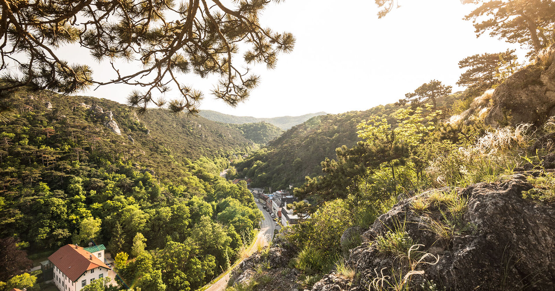 Wienerwald von oben | Credit: Gerhard Wild / picturedesk.com