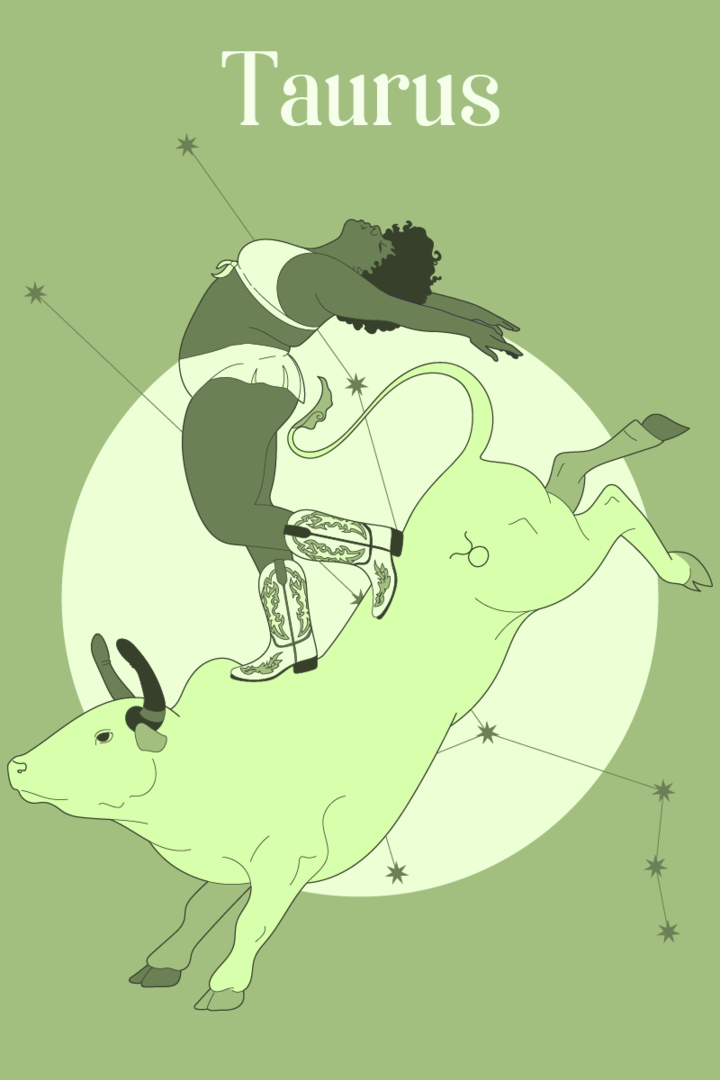 Mensch posiert auf einem Stier