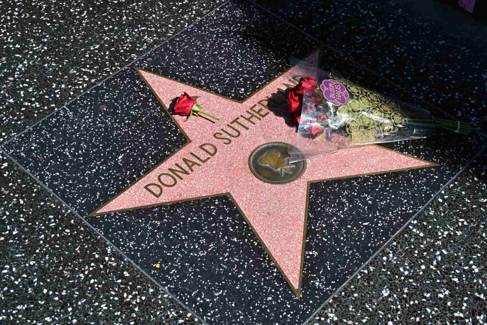 Donald Sutherlands Stern am Walk of Fame in Hollywood.
