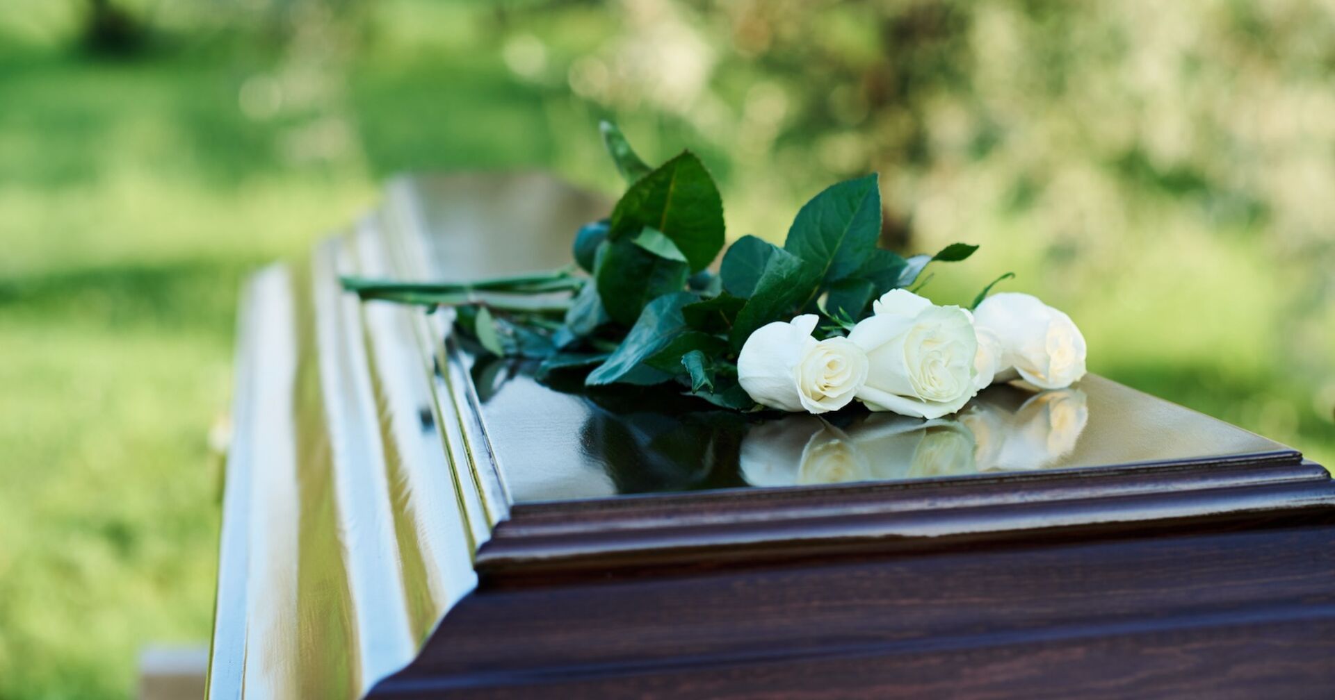 Weiße Rosen auf einem Sarg.