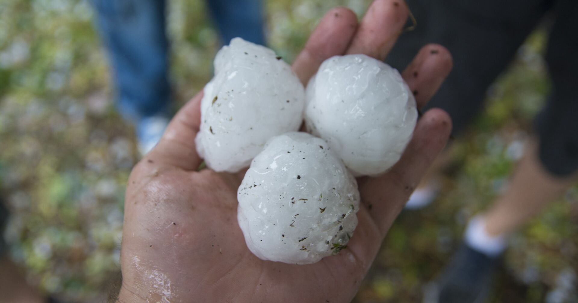 Tennisballgroße Hagelkörner in einer Hand.