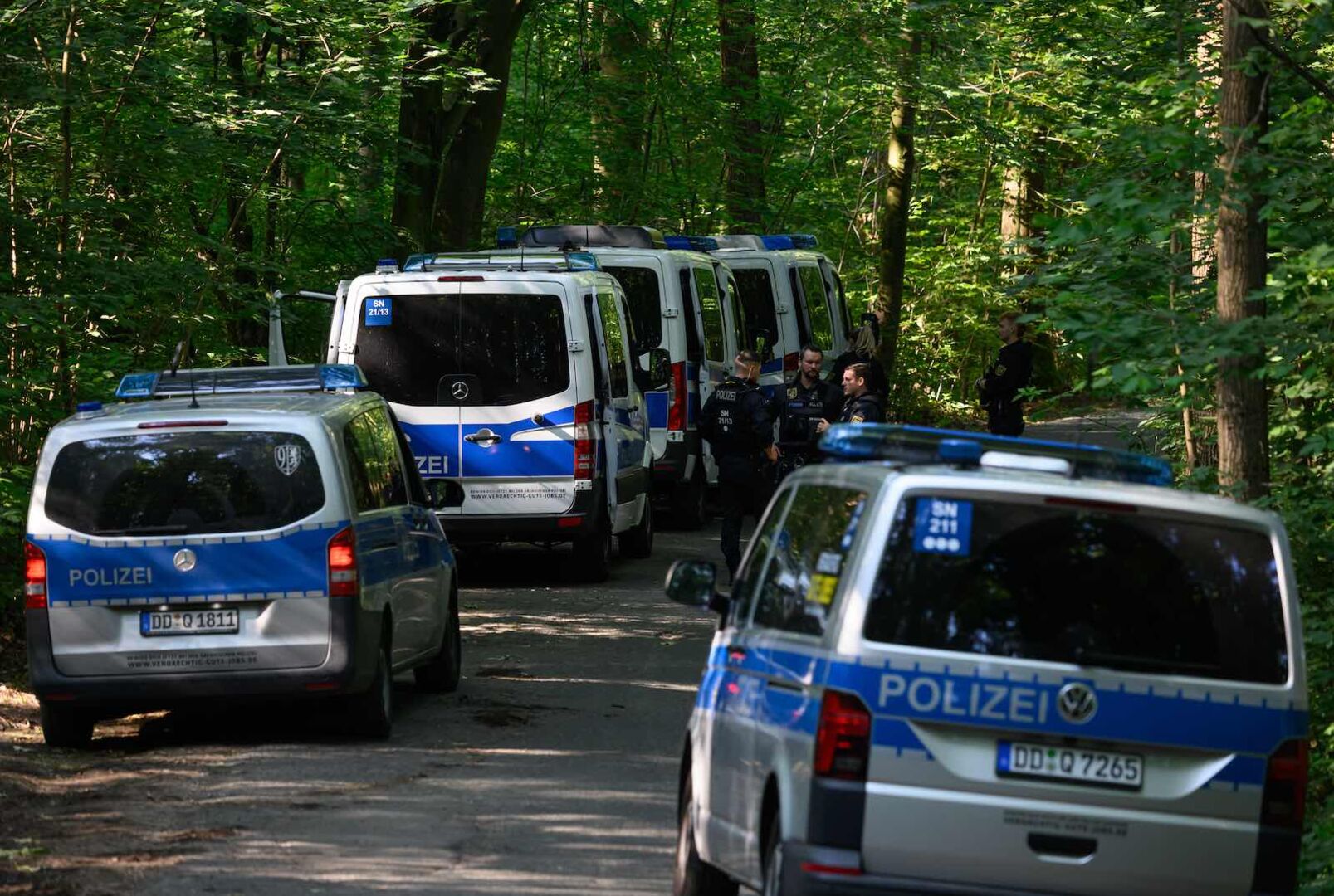 Viele Polizeiautos am Tatort im Wald.