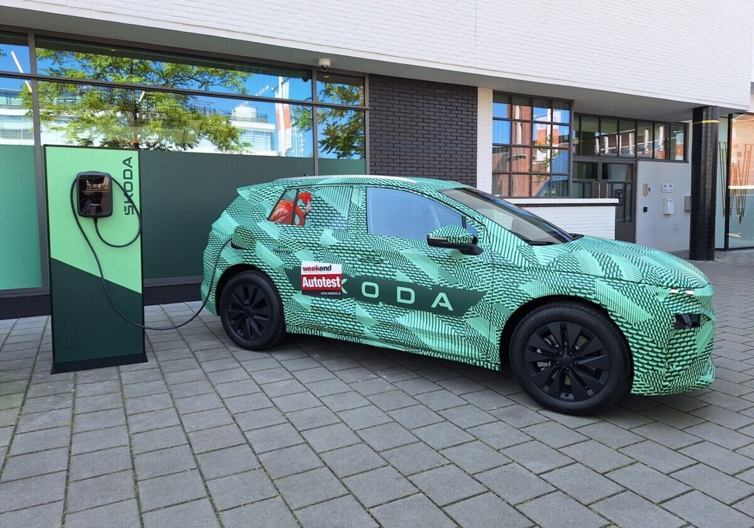 Ein grüner Skoda Elroq - mit schwarzem Muster - steht auf einem betonierten Parkplatz. An einen der hinteren Fenster ist das Bild eines rosa Flamingos angebracht. Das Auto wird gerade an einer grünen E-Zapfsäule aufgeladen. Im Hintergrund sieht man eine Gargeneinfahrt, die geschlossen ist.