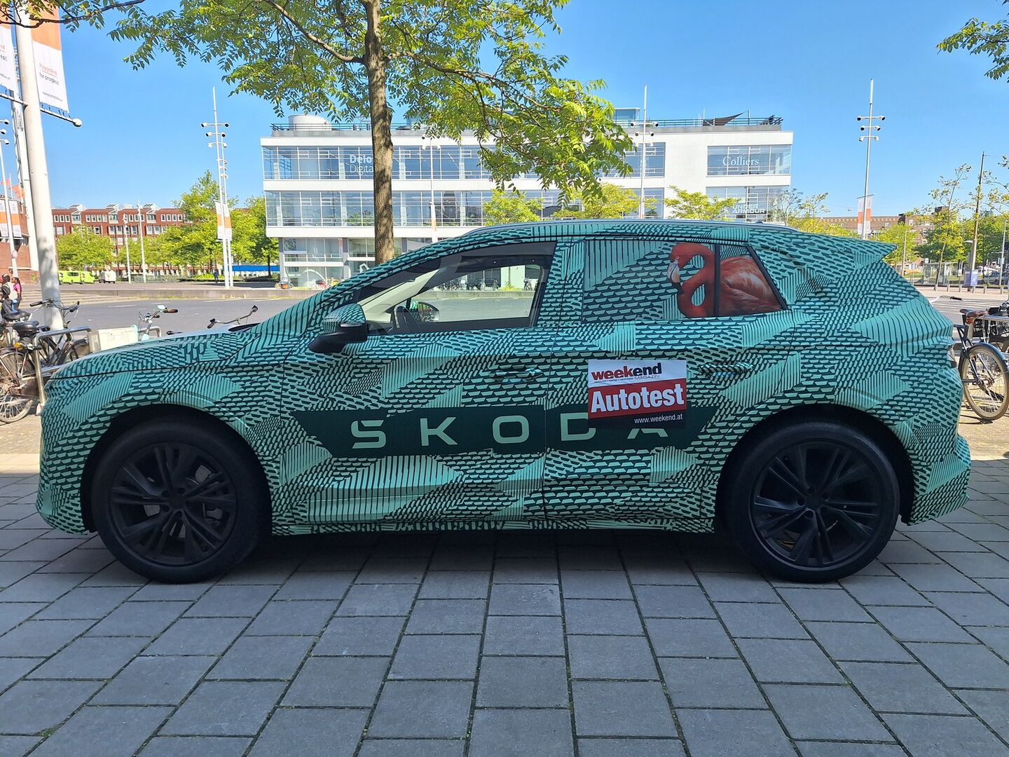 Ein grüner Skoda Elroq- mit schwarzem Muster - steht auf einem asphaltierten Parkplatz. Im Hintergrund ist ein Baum und einen mehrstöckiges Haus zu sehen.
