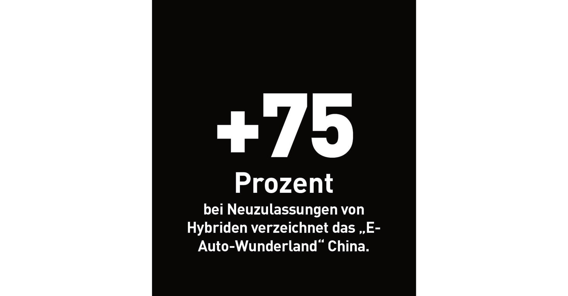 +75 Prozent bei Neuzulassungen von Hybriden verzeichnet das &quot;E-Auto-Wunderland&quot; China.