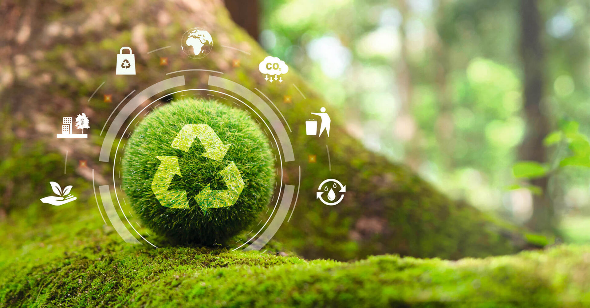 Kreislaufwirtschaft: Als Antwort auf die Ressourcenknappheit der letzten Jahre braucht es Innovation.