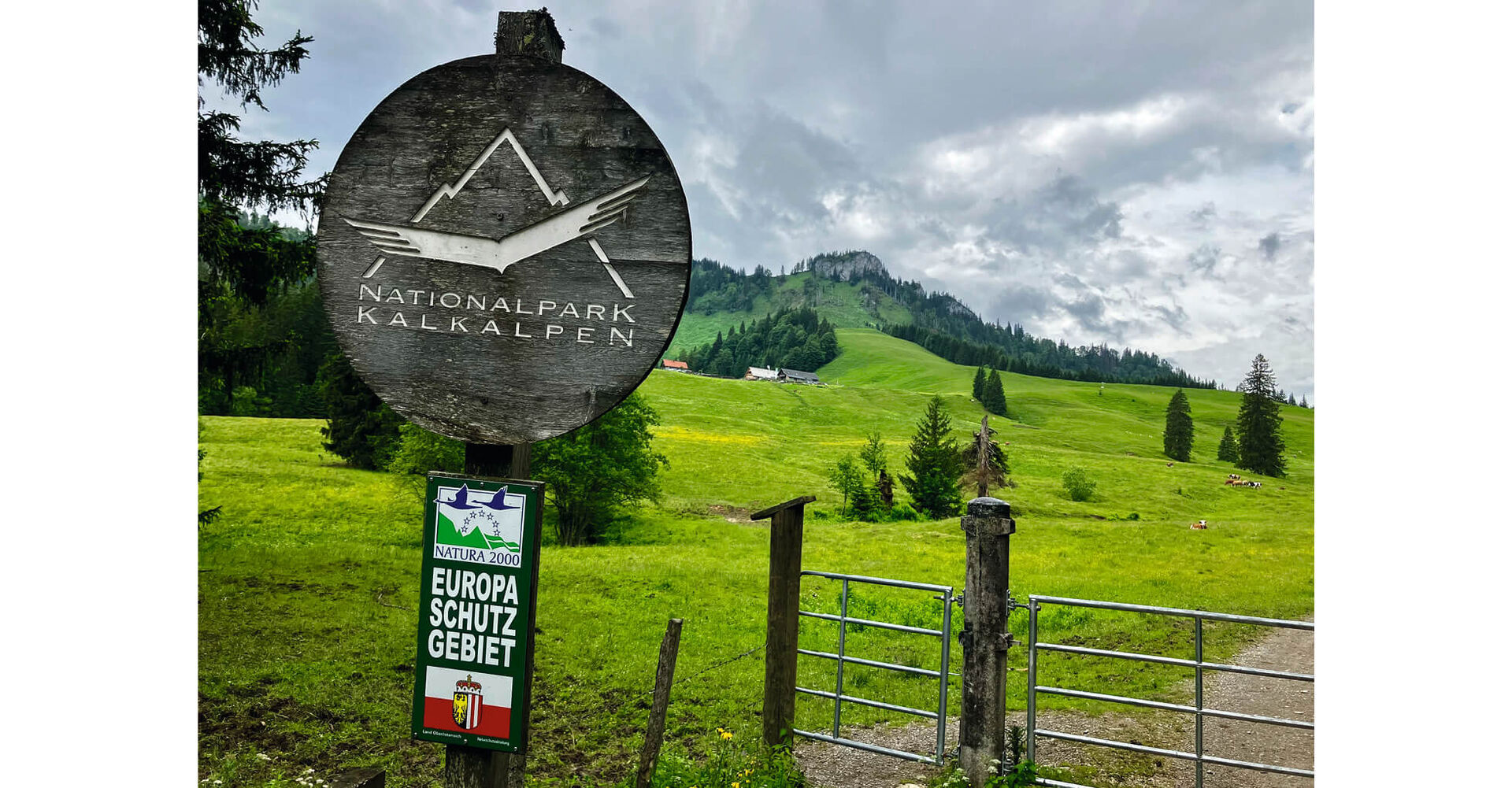 Die Fahrt führt entlang des Reichramingbaches in das waldreiche Hintergebirge des Nationalpark Kalkalpen.