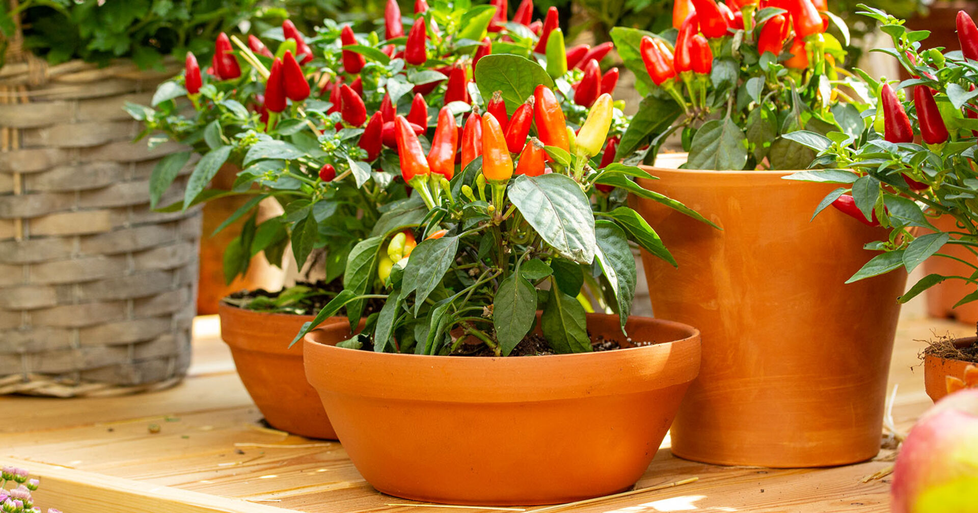 Chili im Topf | Credit: iStock.com/OlgaKorica