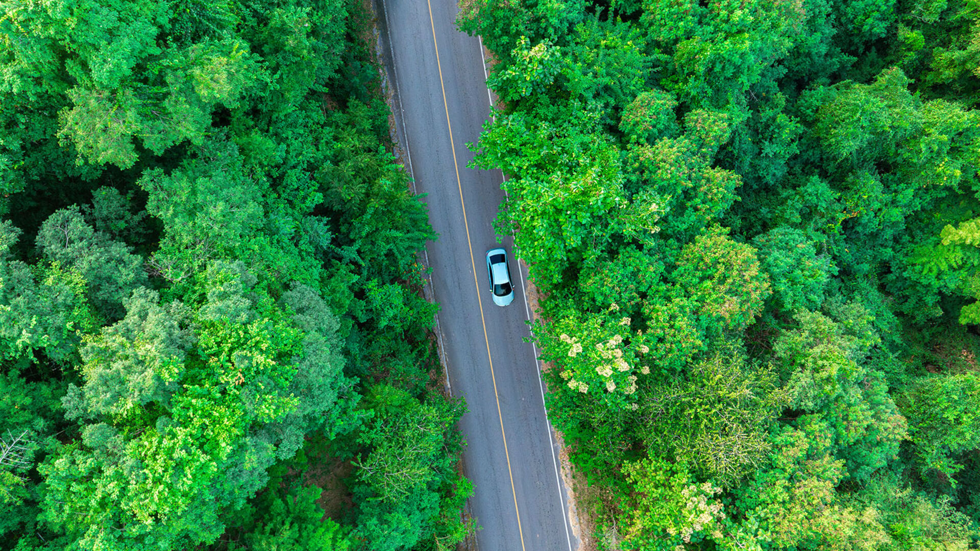 E-Auto fährt durch grüne Landschaft | Credit: iStock.com/Ake Ngiamsanguan
