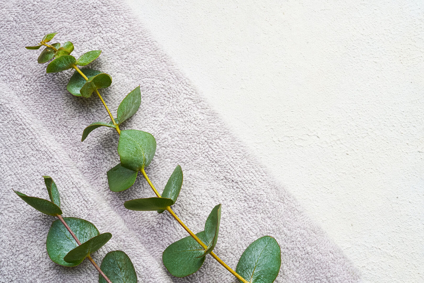 Eukalyptus auf einem Handtuch | Credit: iStock.com/laimdota