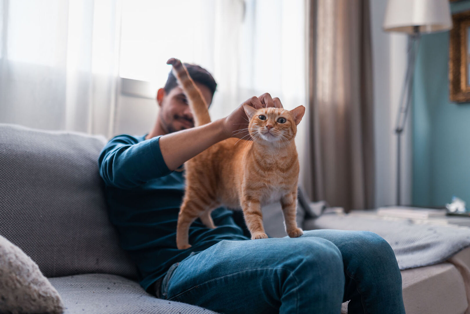 Katze kuschelt mit Besitzer | Credit: iStock.com/Magui-rfajardo