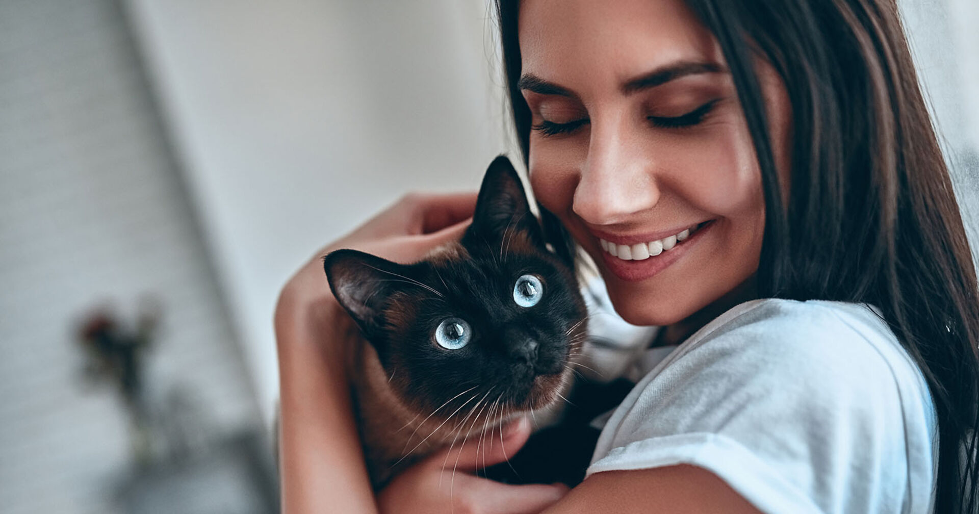 Frau hält Katze auf dem Arm | Credit: iStock.com/Vasyl Dolmatov