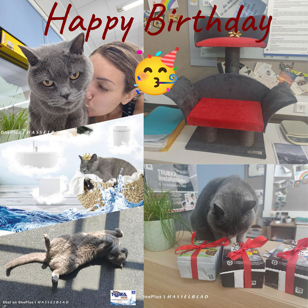 Lilli Platzer mit Katze | Credit: Lilli Platzer