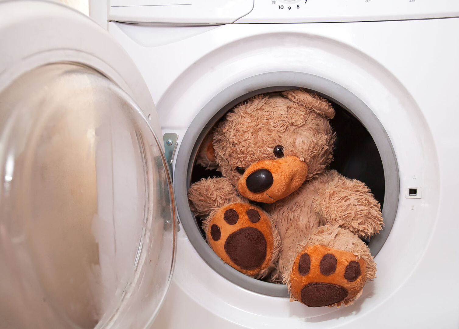 Teddybär in der Waschmaschine | Credit: iStock.com/Olga Novikova