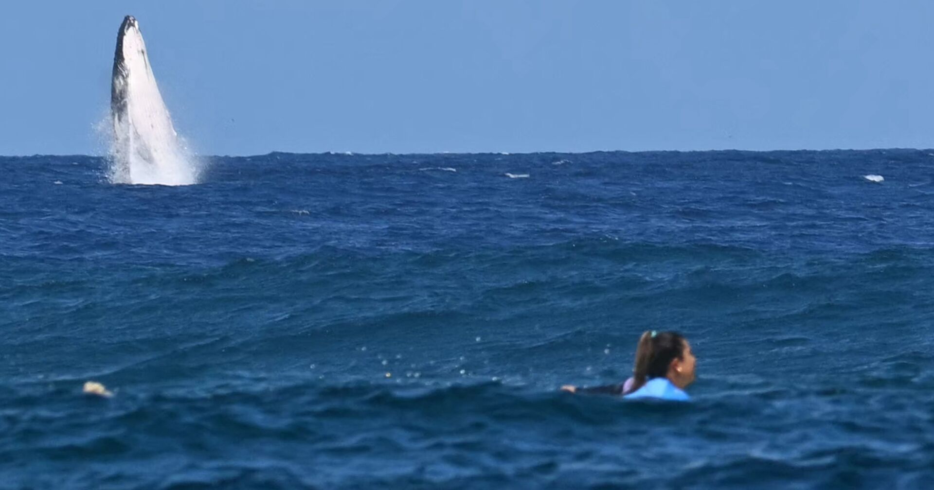 Wal und Surferin im Ozean