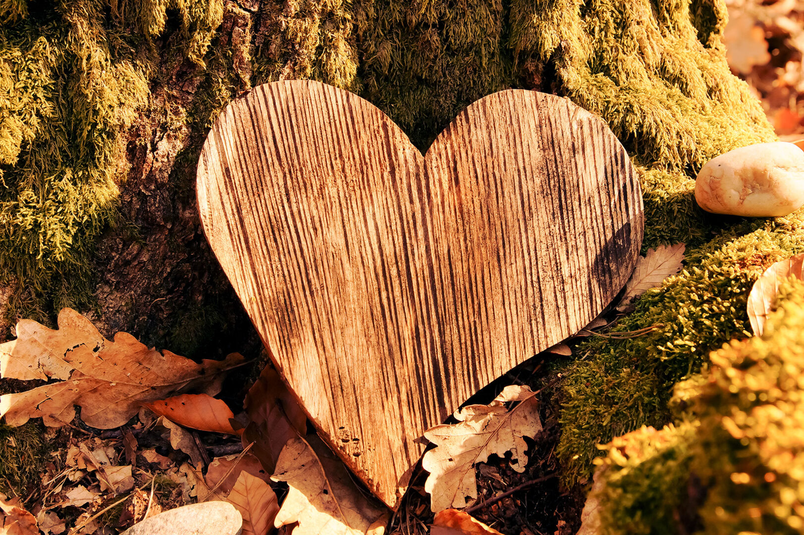 Holz-Herz an einen Baum gelehnt | Credit: iStock.com/Imagesines