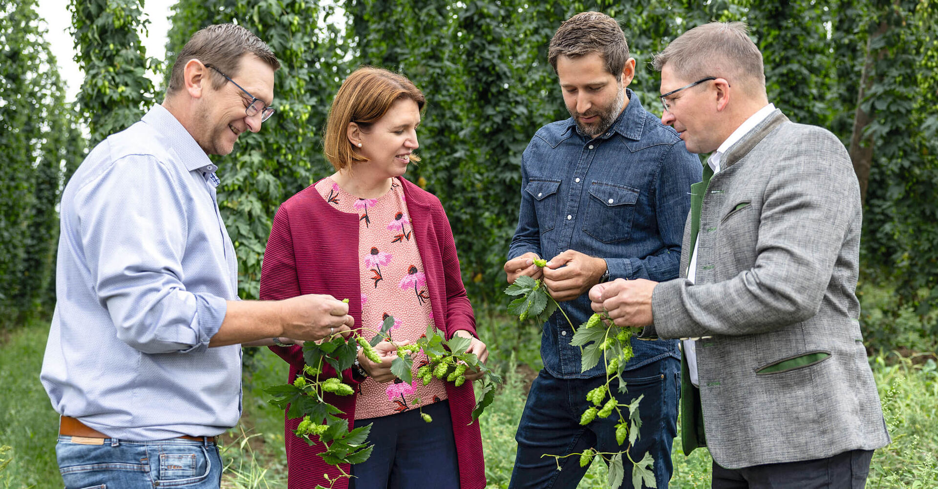Agrar-Landesrätin Michaela Langer-Weninger und Bezirksbauernkammer-Obmann Martin Mairhofer holten sich von Stefan Hofer, Obmann und Manuel Starlinger, Geschäftsführer der Mühlviertler Hopfenbaugenossenschaft, Eindrücke zum diesjährigen Hopfenanbau.