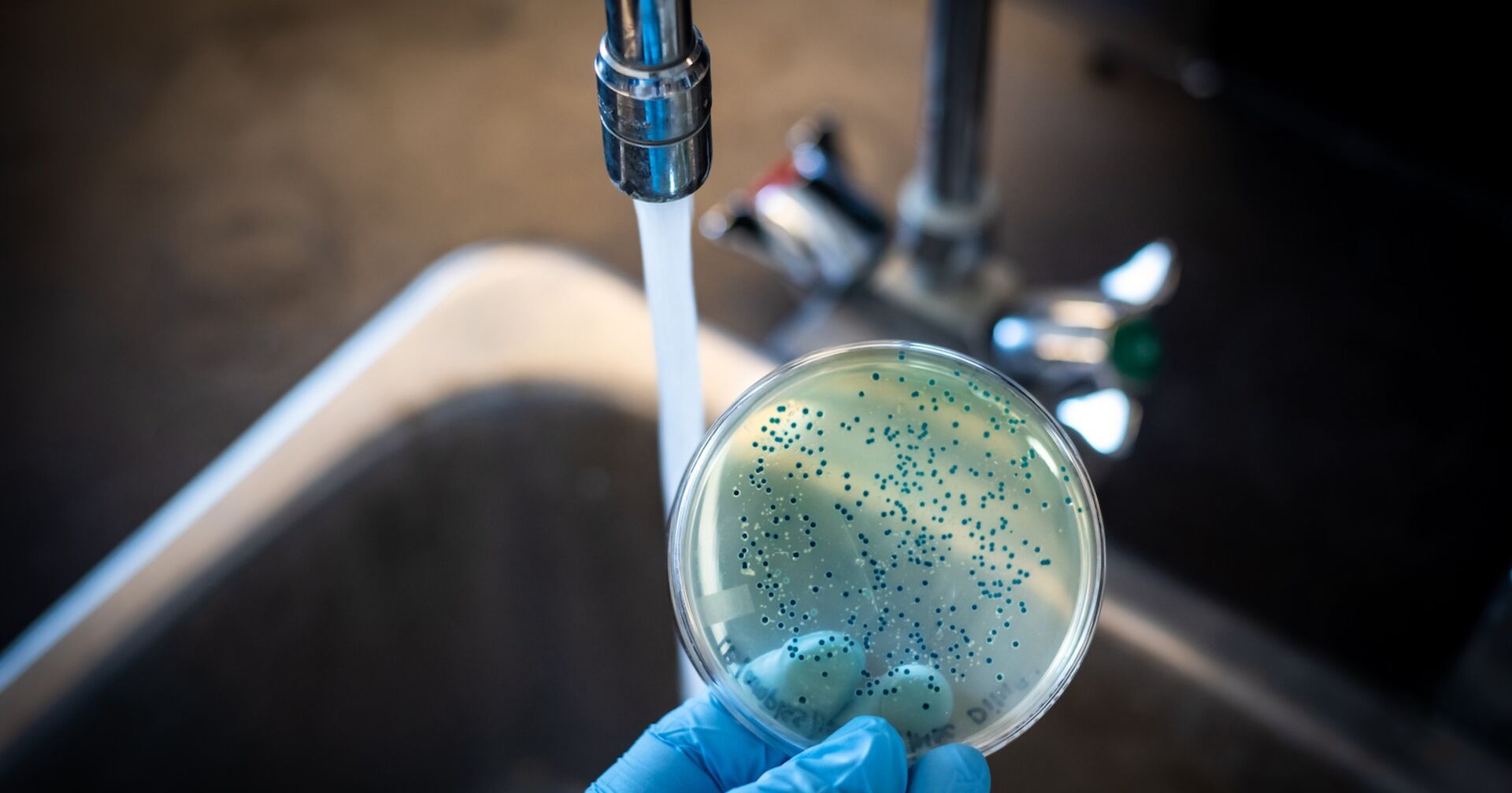 Bakterien in einem Reagenzglas unter einem Wasserhahn.