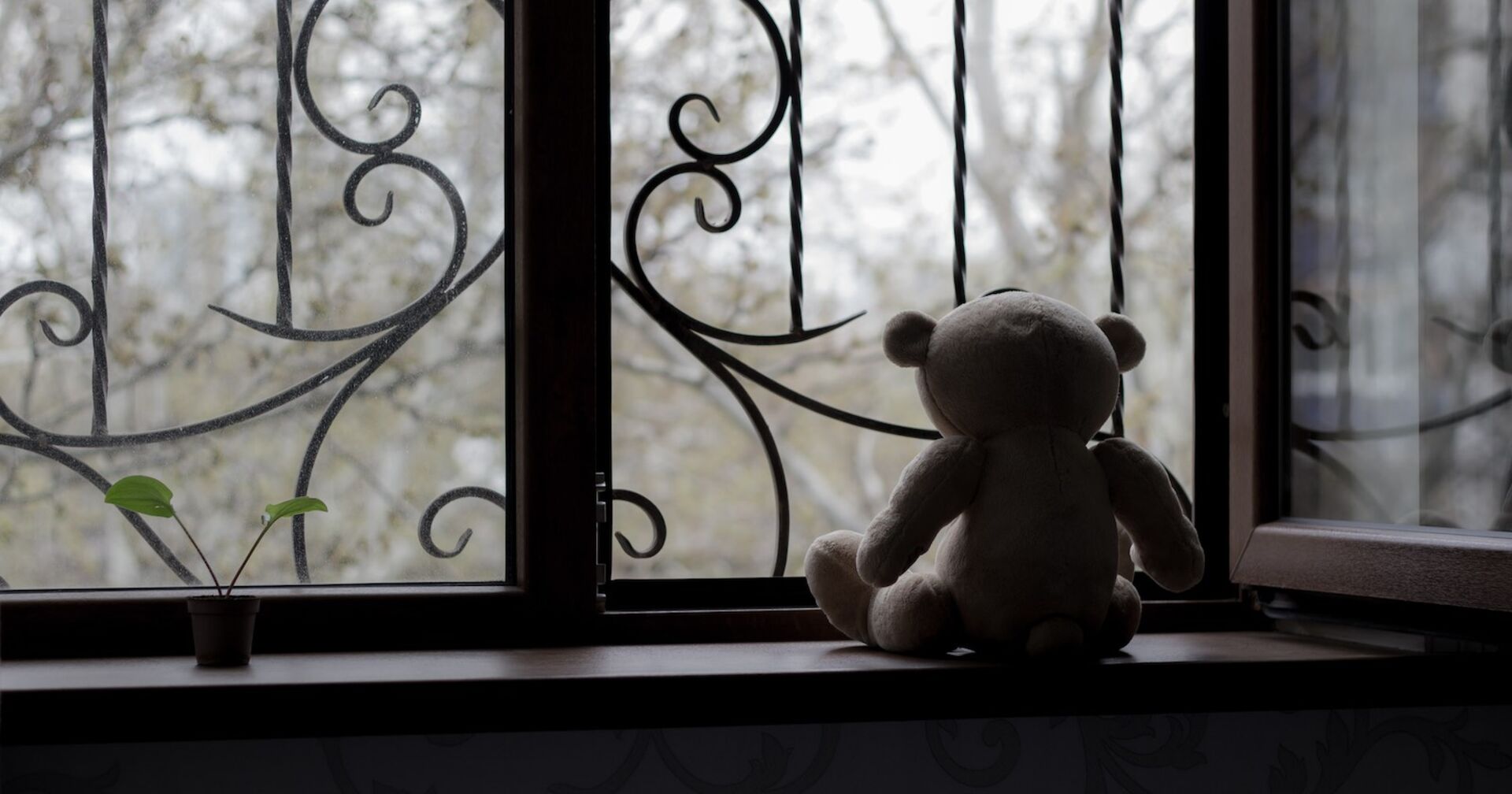 Ein Teddybär sitzt an einem einsamen, vergitterten Fenster.