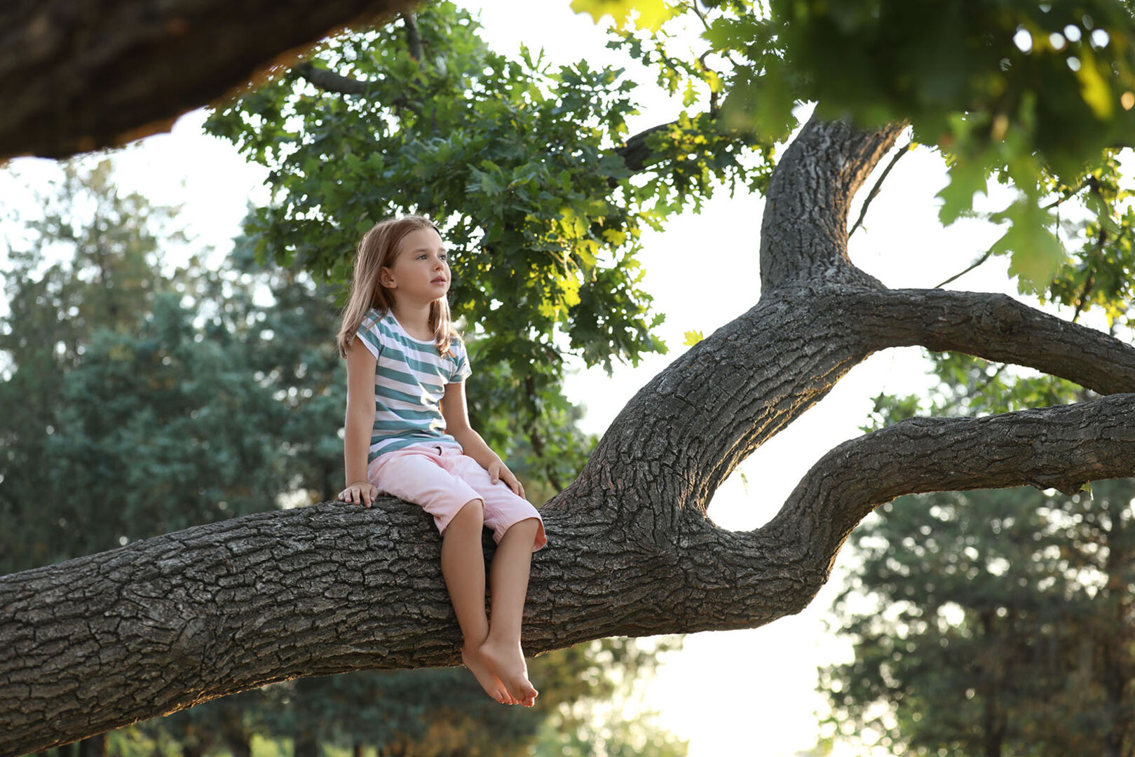 Kind sitzt im Baum | Credit: iStock.com/Liudmila Chernetska