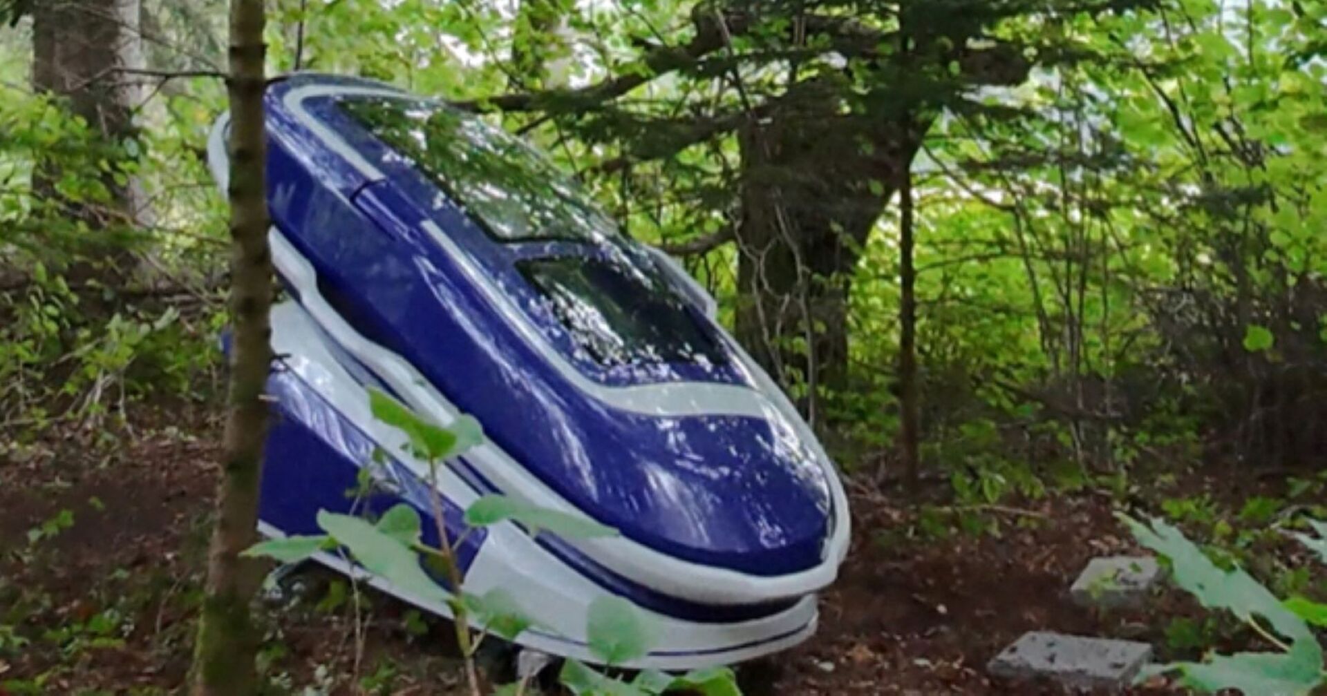 Die Todeskapsel Sarco steht in einem Waldstück. Sie ist blau und erinnert in der Forma an ein sehr kleinesRaumschiff