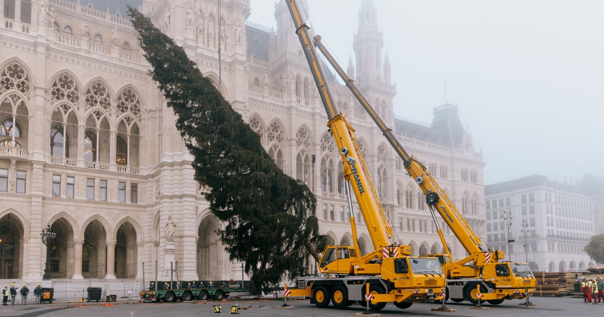 Kran richtet Baum vor dem Wiener Rathaus auf