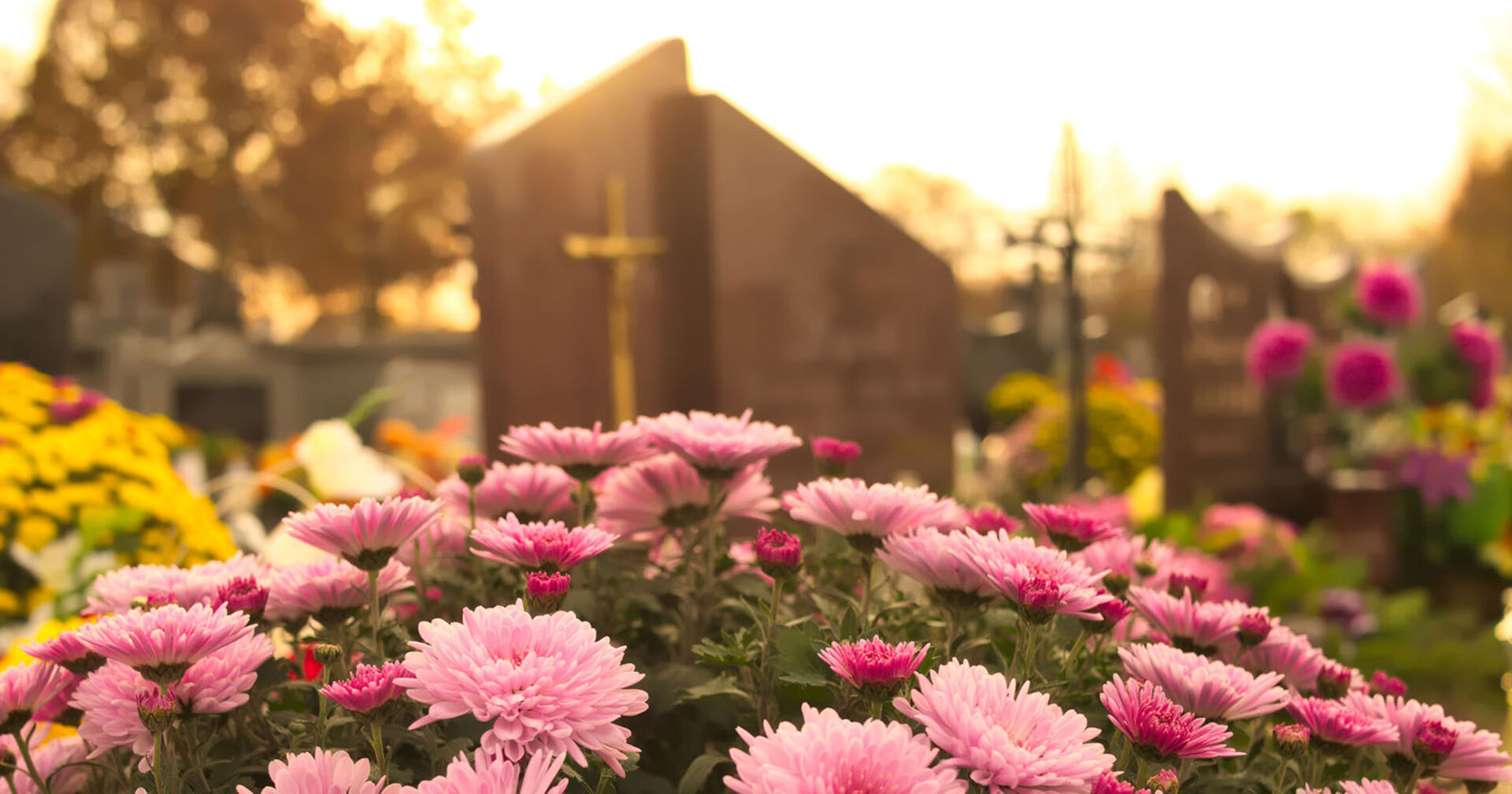 Grab mit Blumen | Credit: iStock.com/Mariusz Zysk