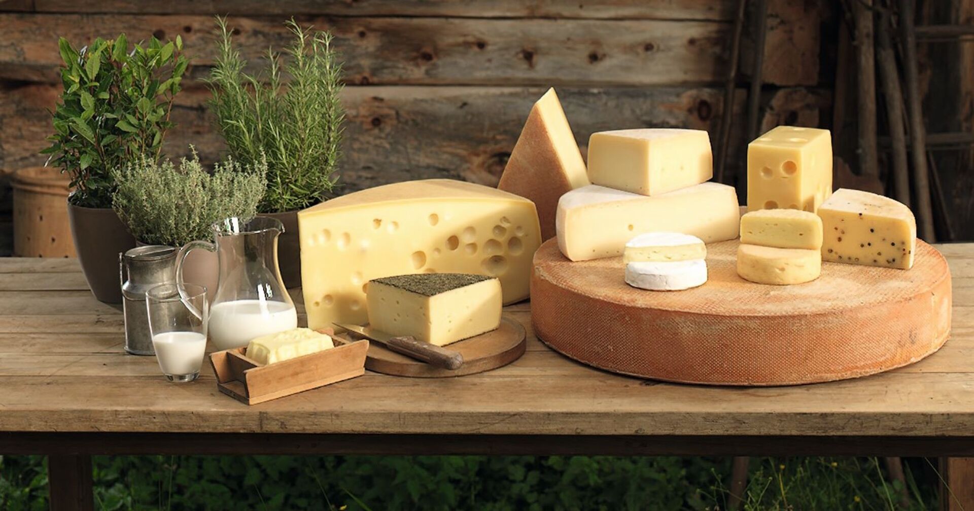 Auf einem Holztisch stehen verschiedenen Käsesorten: Zu sehen sind unter anderen Emmentaler, Weinkäse und ein Weißschimmel-Käse. Am Tisch stehen ein Glaskrug mit Milch, Butter und ein Topf mit Rosmarin.