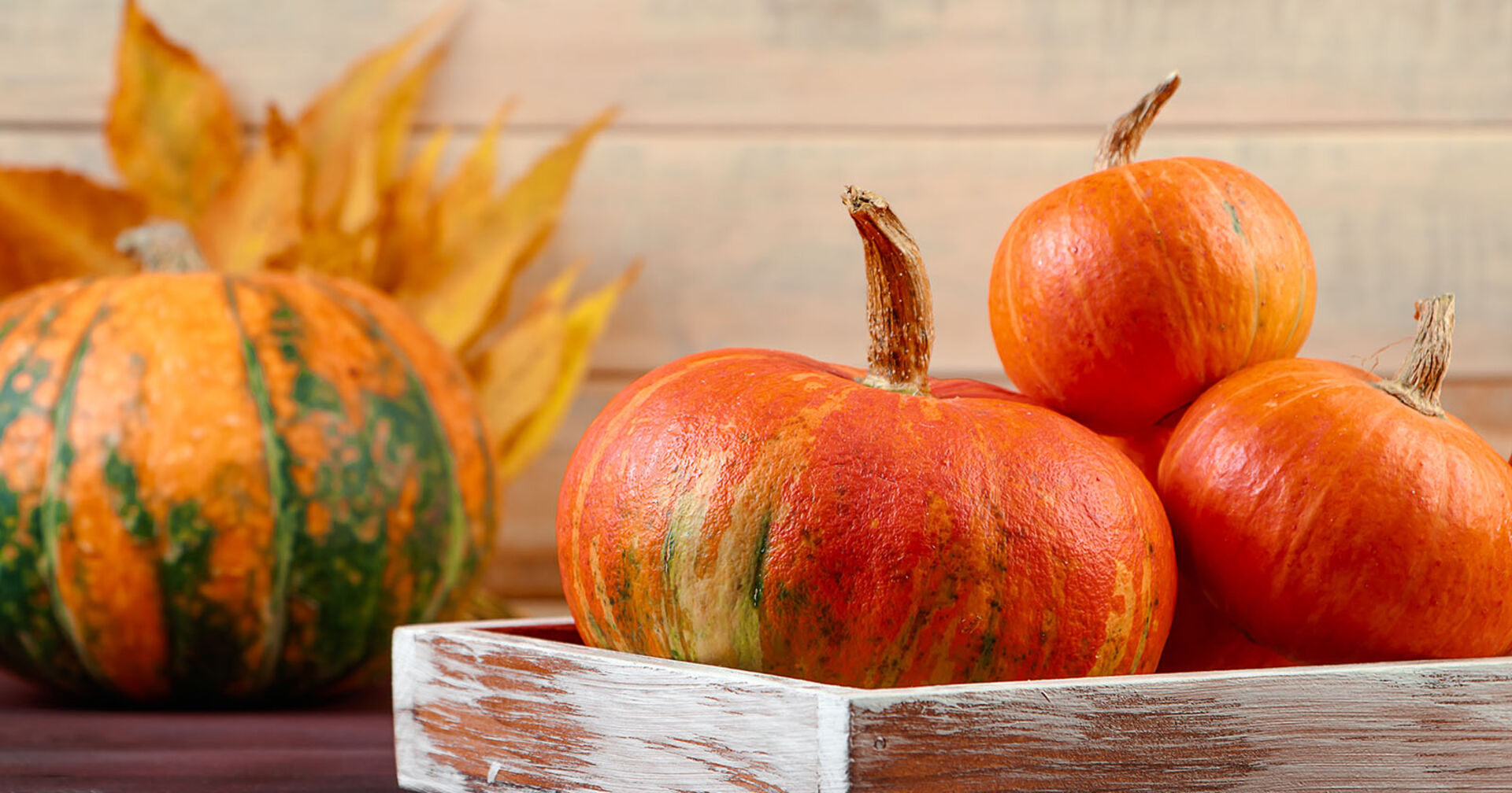 Kürbis in einer Holzkiste | Credit: iStock.com/Galina Atroshchenko