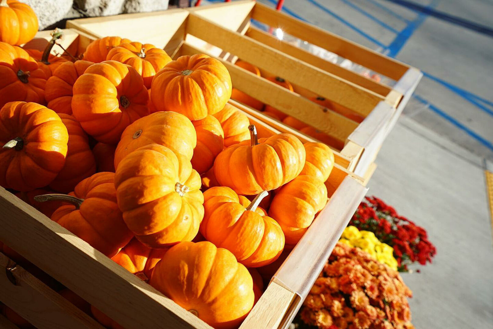 Kürbisse in einer Holzkiste | Credit: iStock.com/Ary Dermawan