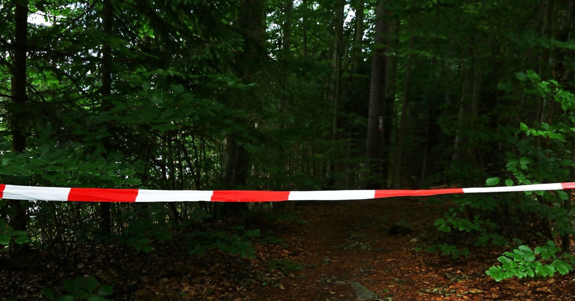 abgesperrter Waldbereich