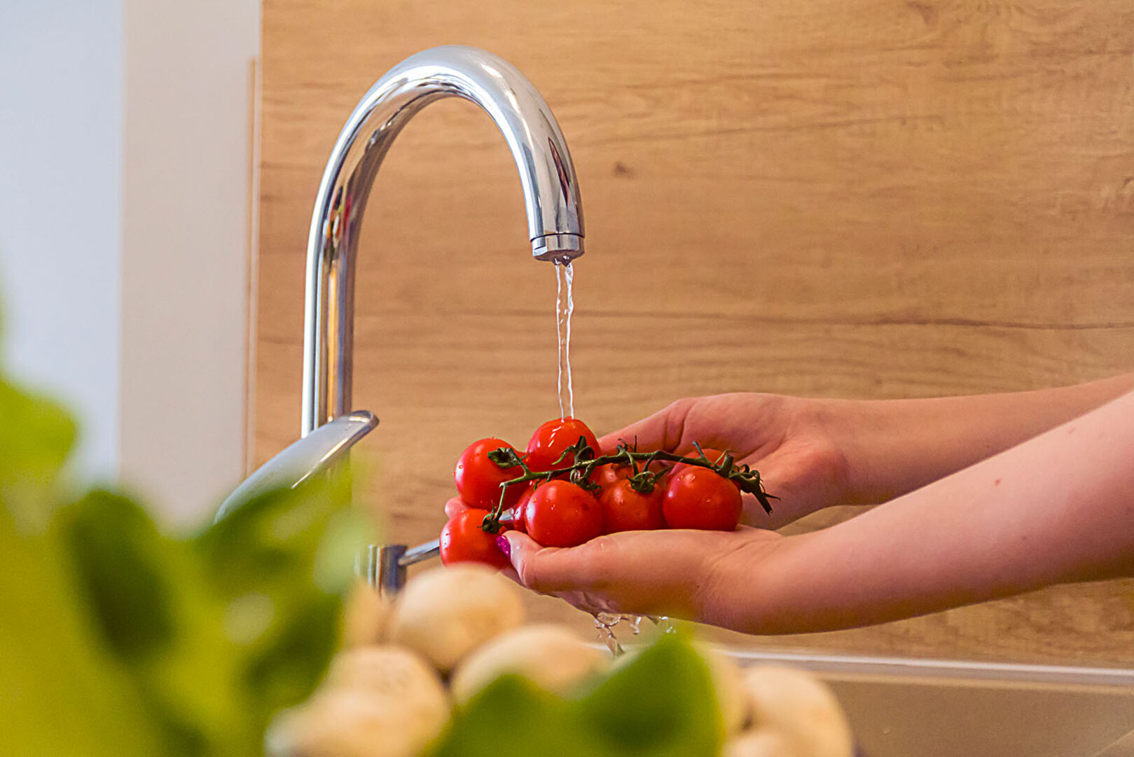 Tomaten werden gewaschen | Credit: iStock.com/PixelsEffect