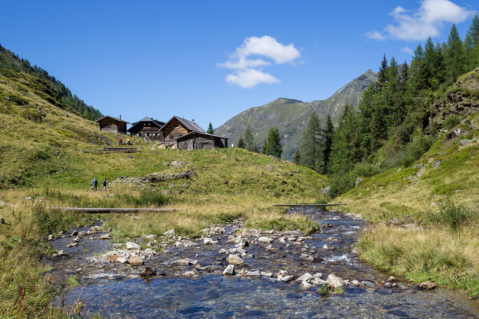 Waldhornalm | Credit: Gerhard Wild / picturedesk.com