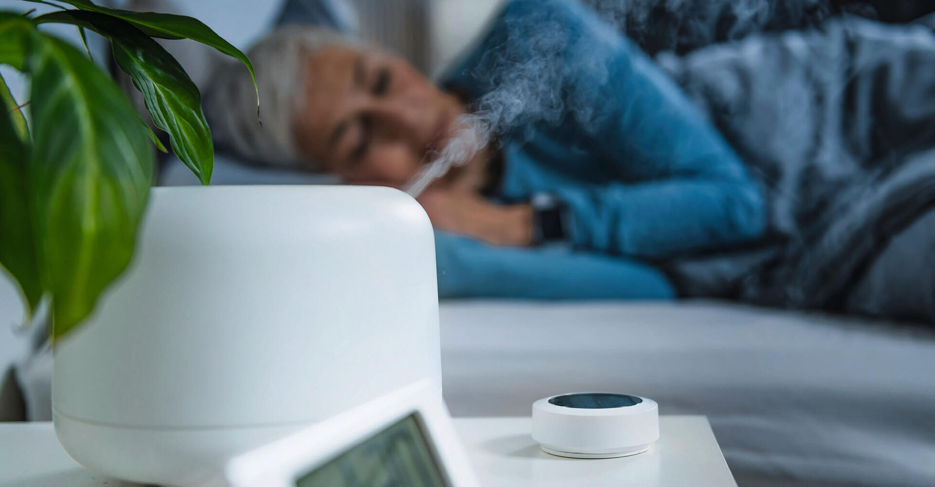 Luftbefeuchter lassen uns leichter atmen