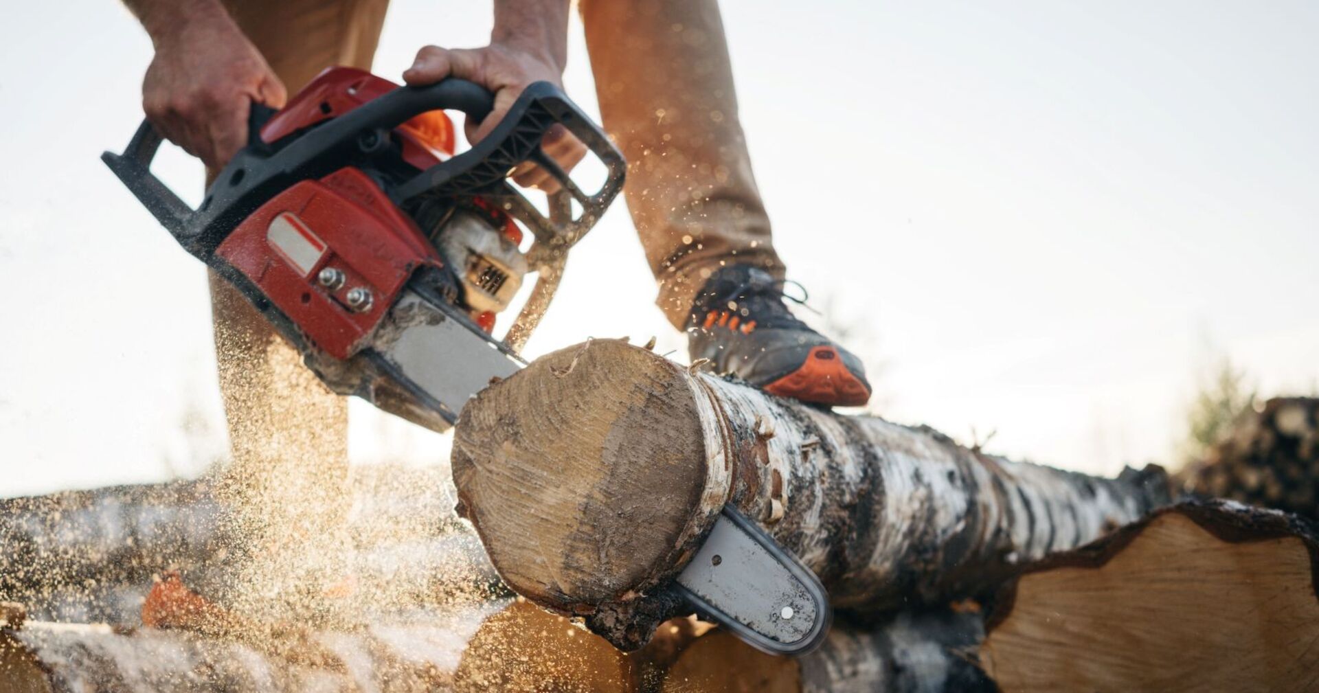 Mann mit Kettensäge bei Forstarbeiten