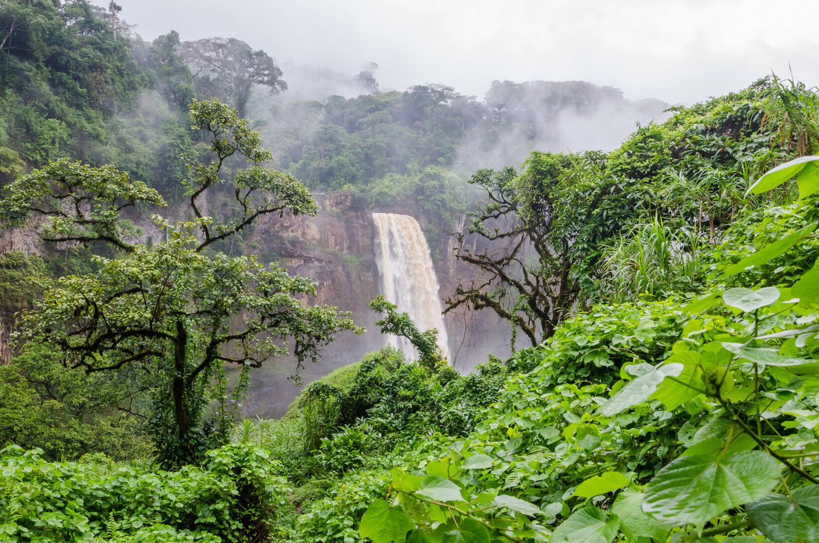 Wasserfall im Regenwald