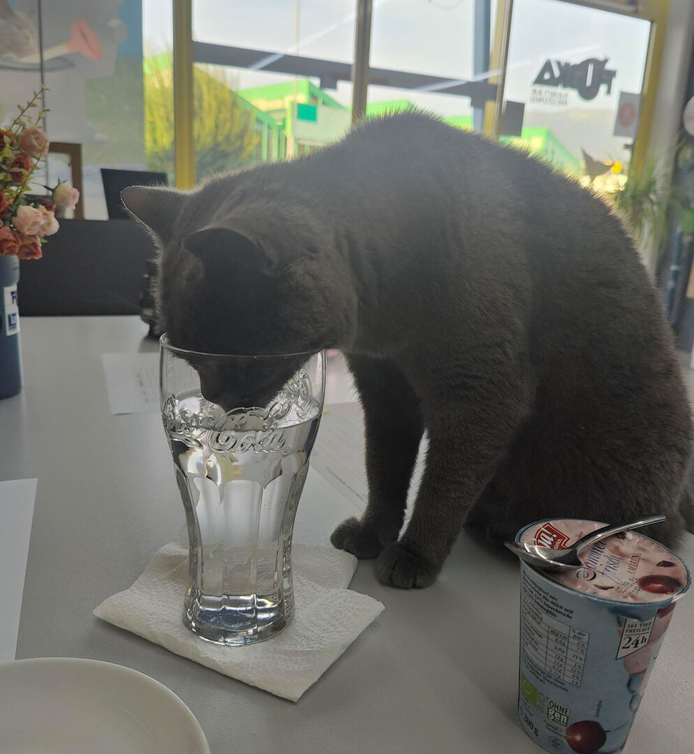 Corona trinkt aus Glas | Credit: Lilli Platzer