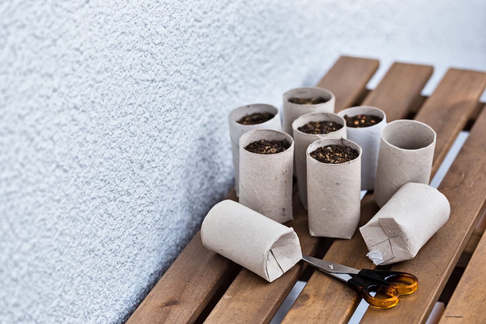 Viele Klopapierrollen als Anzuchttöpfe.